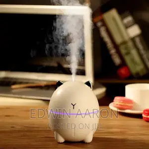 Mini Humidifier