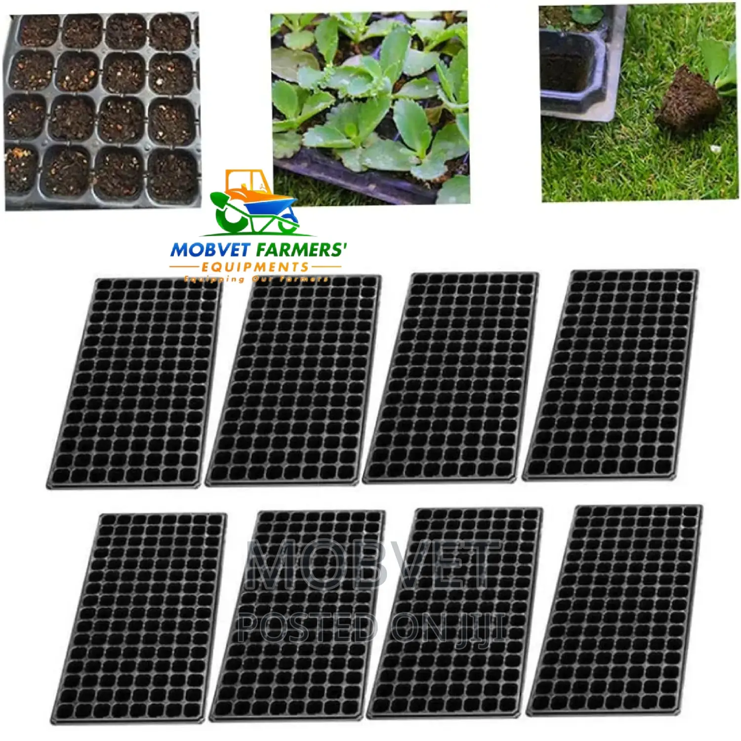 Seedling  Trays Uganda