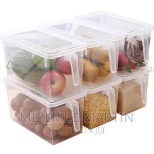 Refrigerator Storage Box Plastic Food Container Keeping Egg