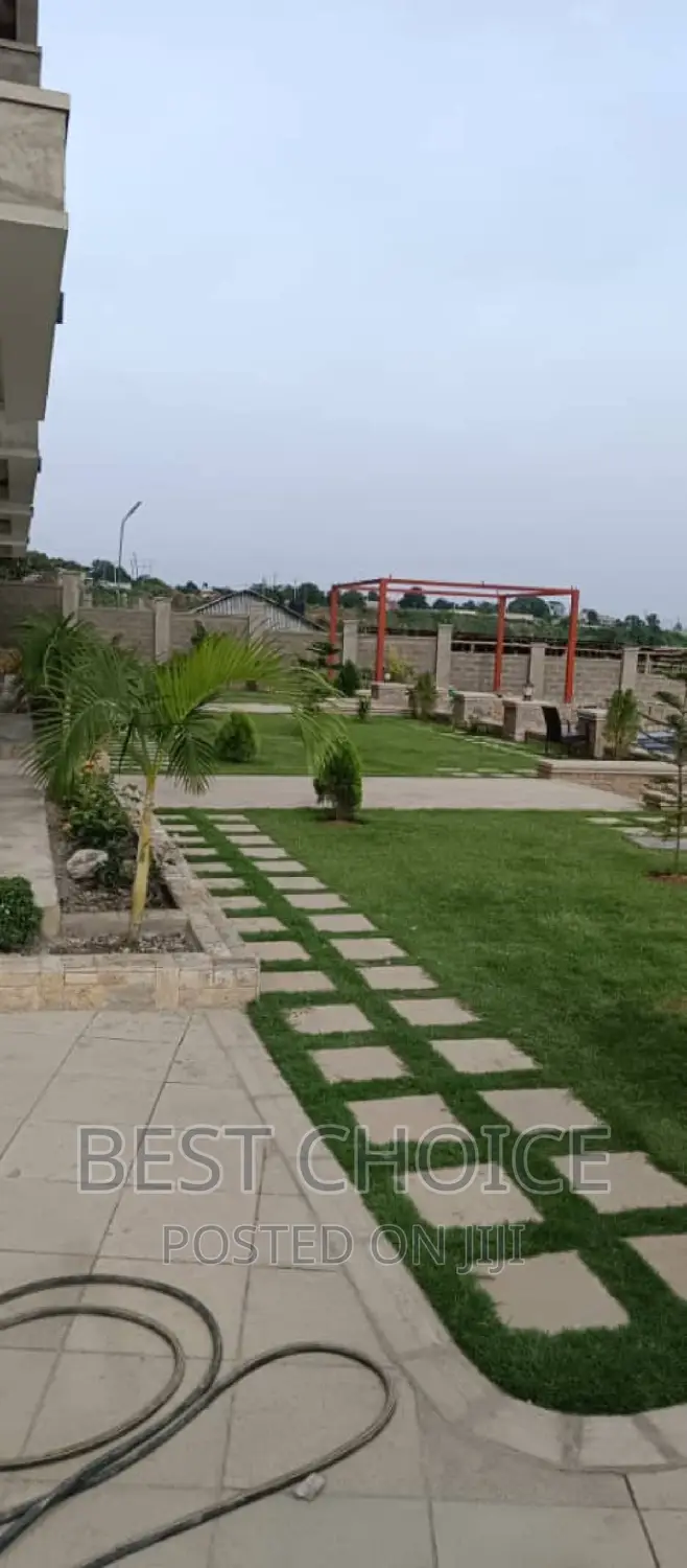 Landscaping Services With Exquisite Plants Arrangement.