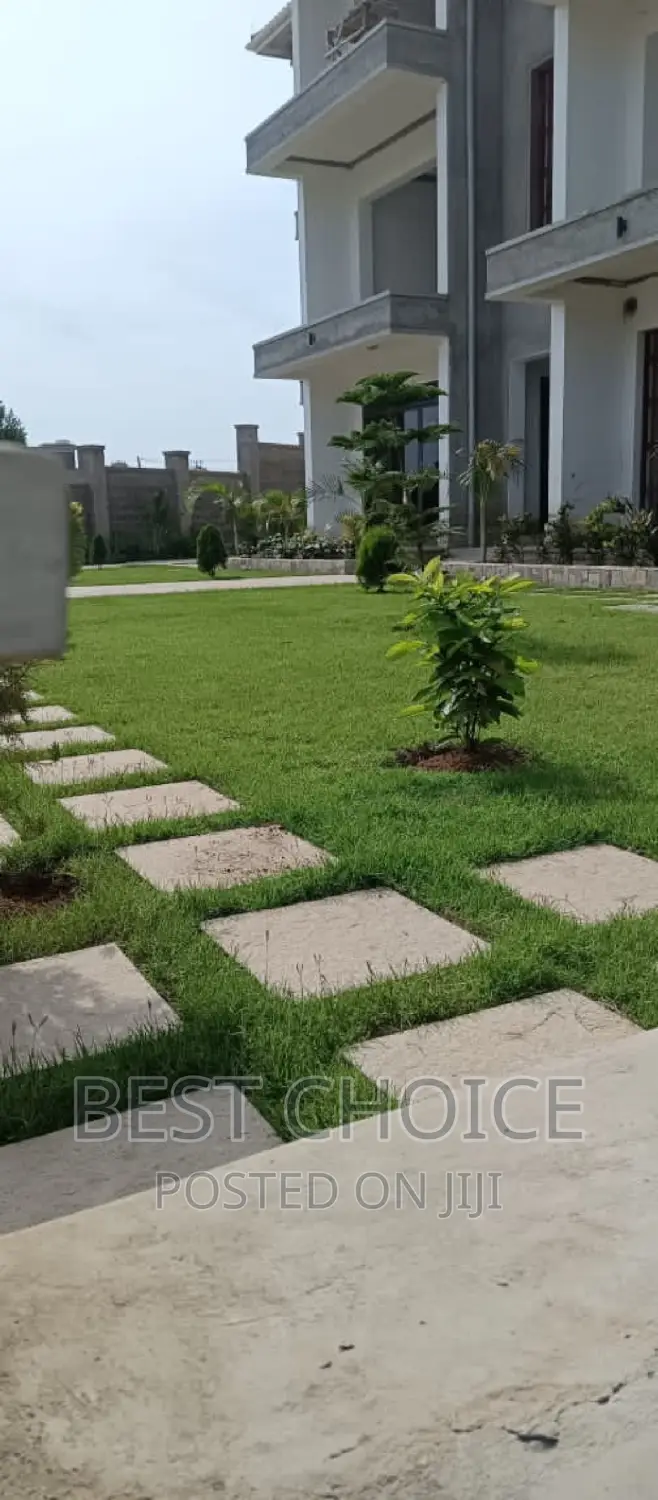 Landscaping Services With Exquisite Plants Arrangement.