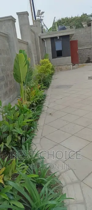 Landscaping Services With Exquisite Plants Arrangement.