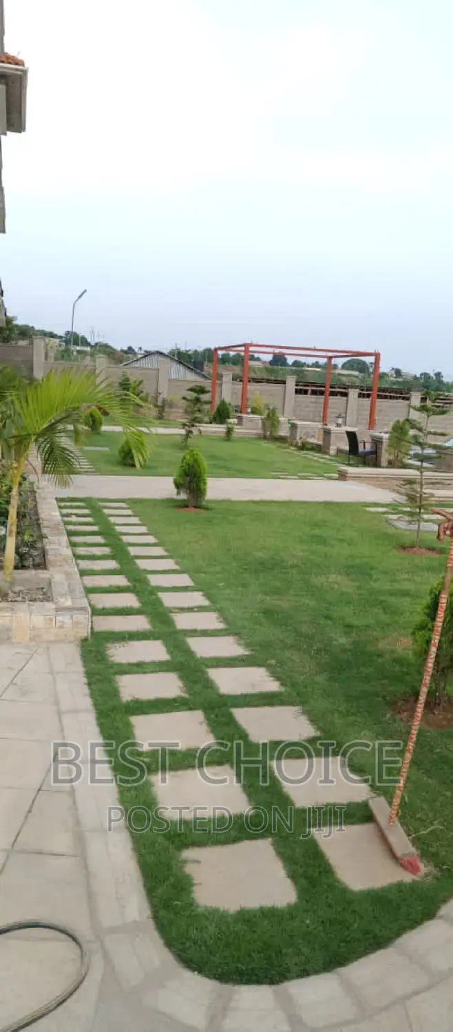 Landscaping Services With Exquisite Plants Arrangement.