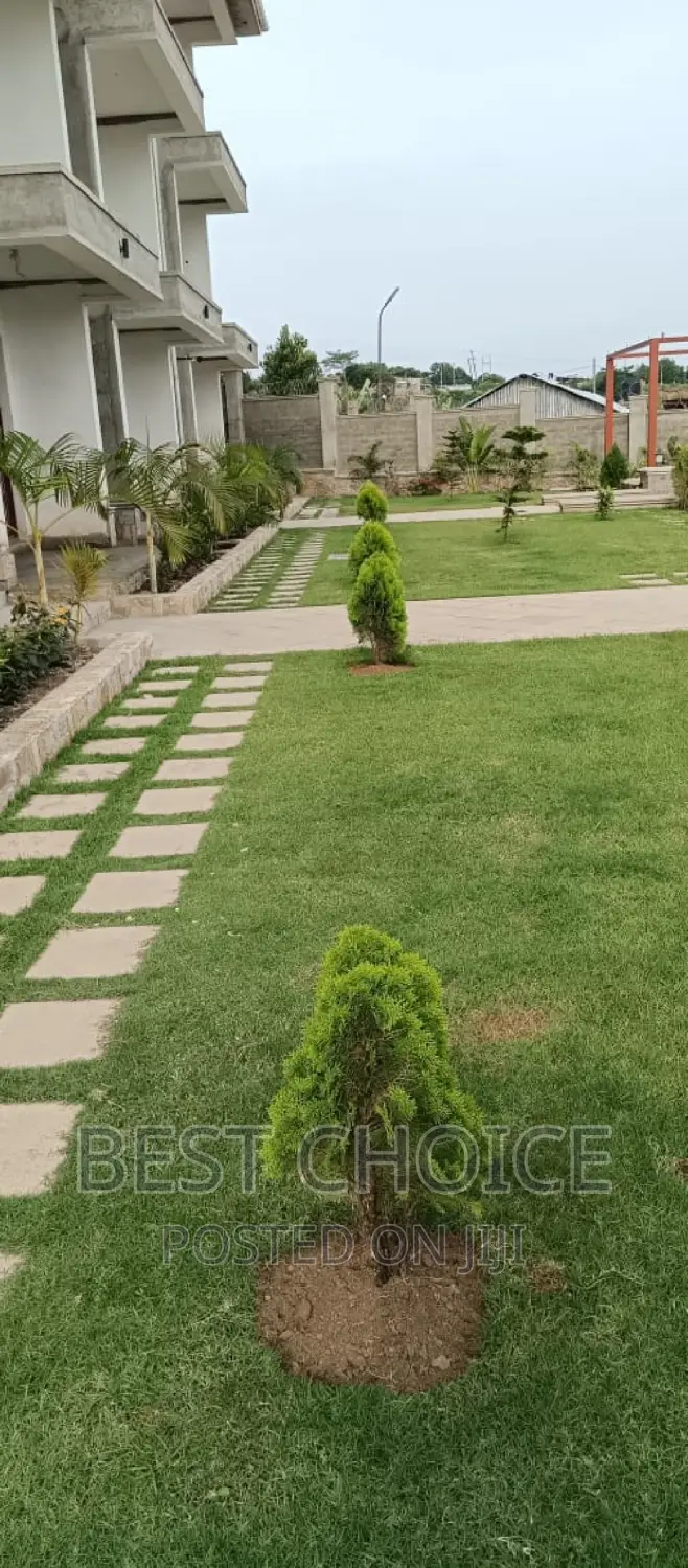 Landscaping Services With Exquisite Plants Arrangement.