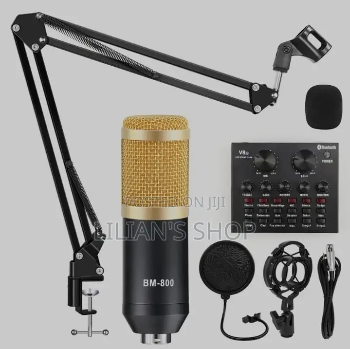 Condenser Microphone