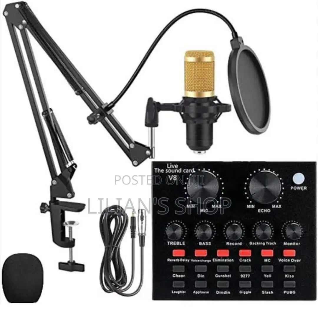 Condenser Microphone