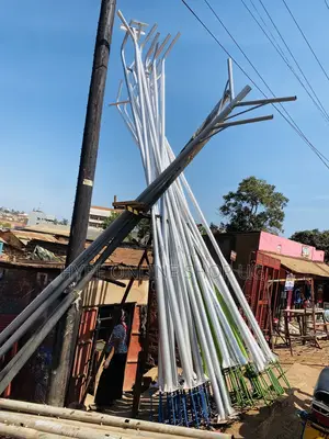 Standard Strong Solar Poles in Town