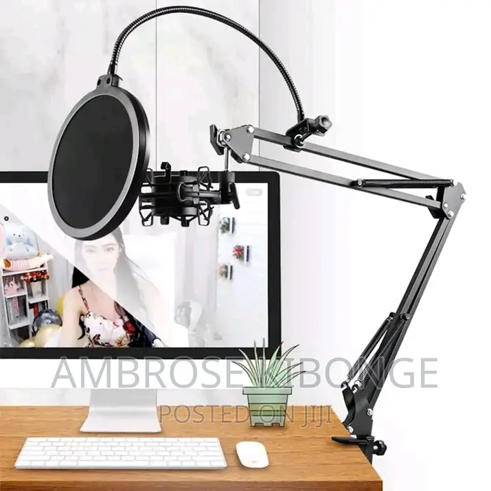 Sturdy Broadcast Arm Professional Recording Microphone Stand
