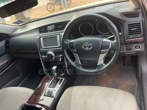 Toyota Mark X 2010 Silver