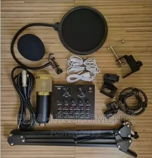Professional Recording Studio Bm800 Microphone Condenser