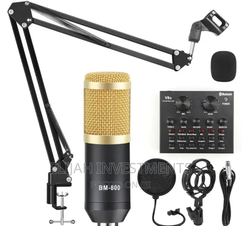 Professional Recording Studio Bm800 Microphone Condenser