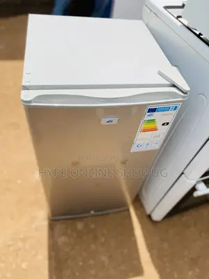 Luxurious Freezing Home Fridge