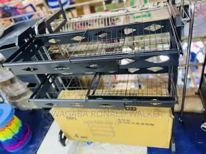 Double Layer Sink Plate Rack