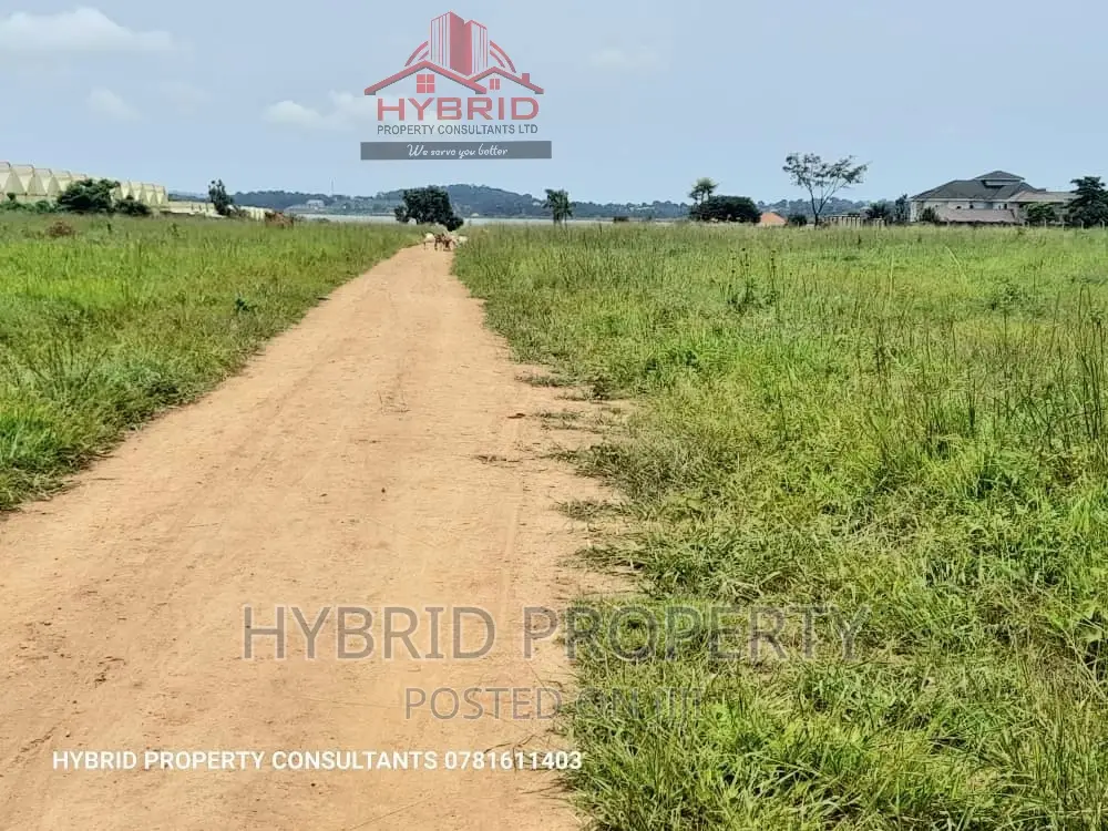 Prime Plots for Sale at Kawuku~Bwerenga Lakeview Land Estate