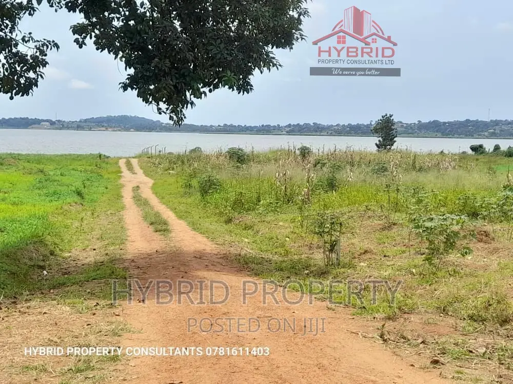Prime Plots for Sale at Kawuku~Bwerenga Lakeview Land Estate