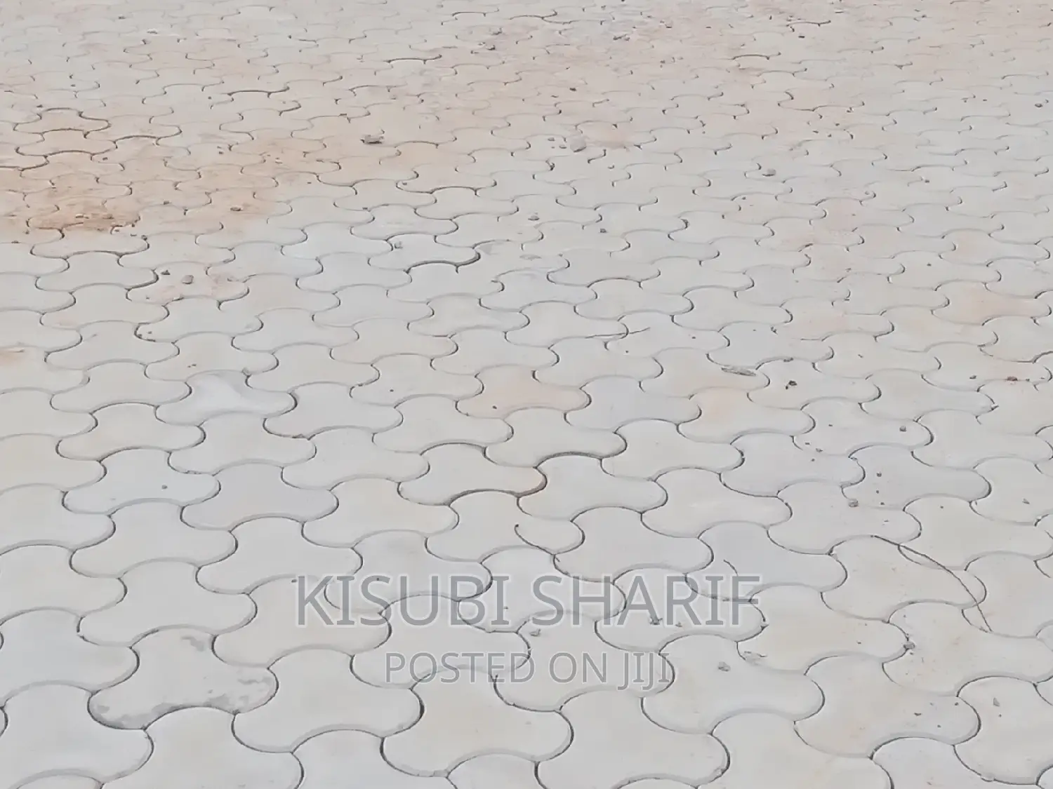 Pavers in Sonde