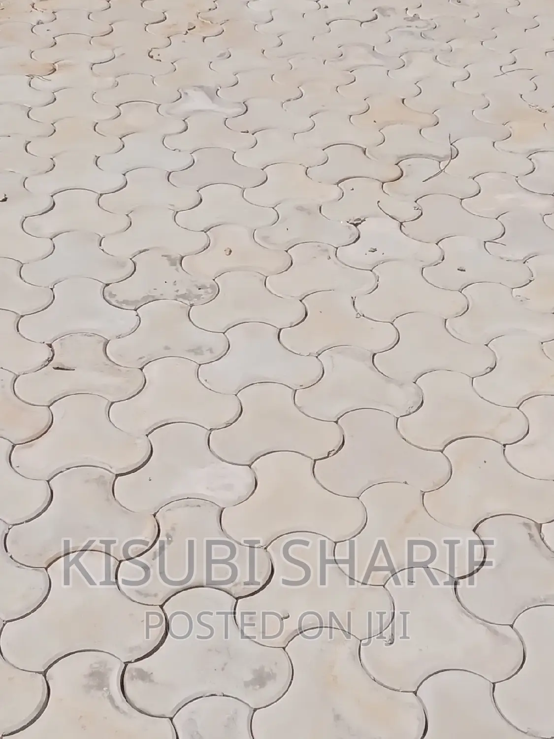 Pavers in Sonde