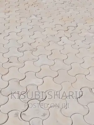 Pavers in Sonde