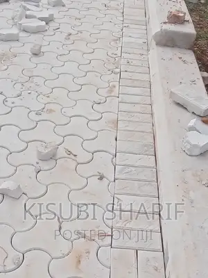 Pavers in Sonde
