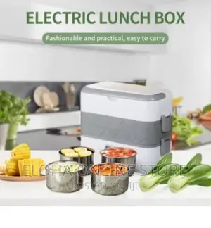 Portable Electric Two-Layer Lunch Box/Steaming Lunch Box
