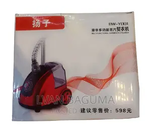 Multifunctional Garment Steamer - BW Y001