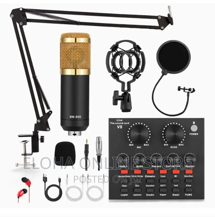Professional Microphone Condenser