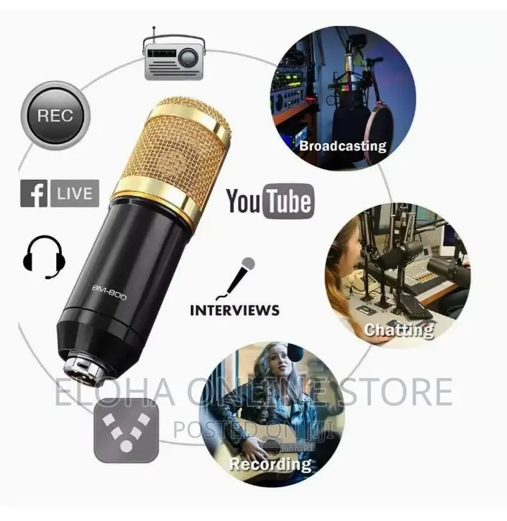 Professional Microphone Condenser