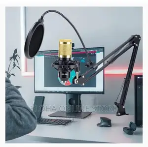Professional Microphone Condenser