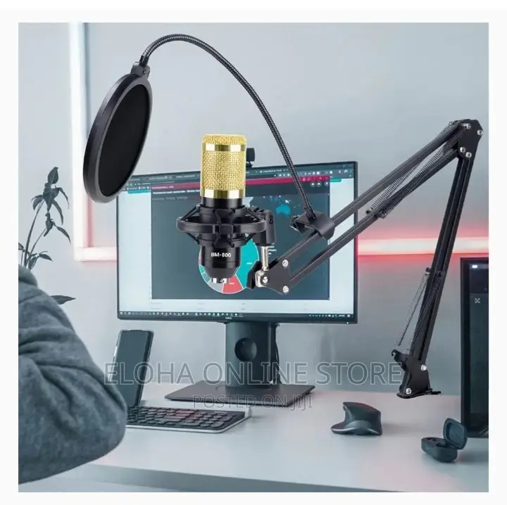 Professional Microphone Condenser
