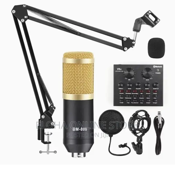 Professional Microphone Condenser