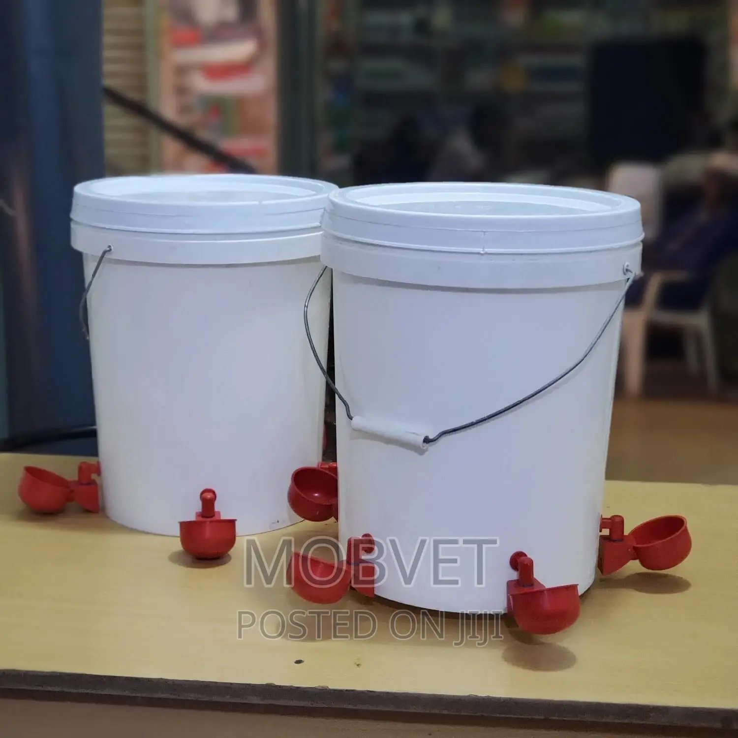 Red Cup Chicken Drinker Buckets