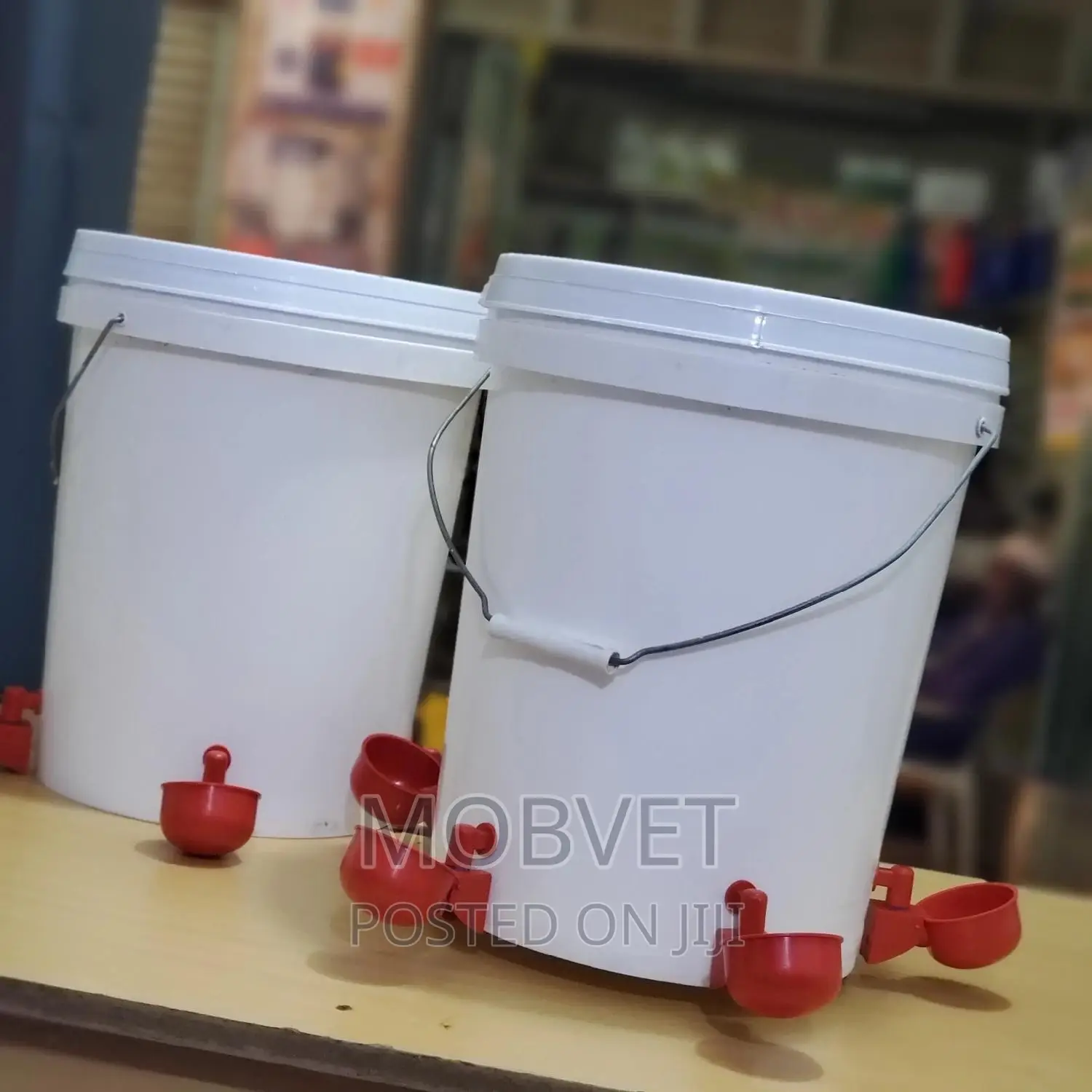 Red Cup Chicken Drinker Buckets 1