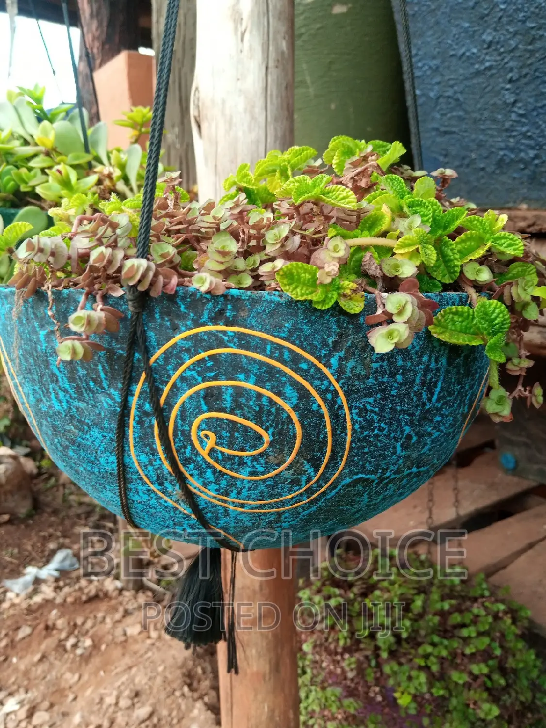 Creating Beauty With Beautiful Concrete Planters and Plants