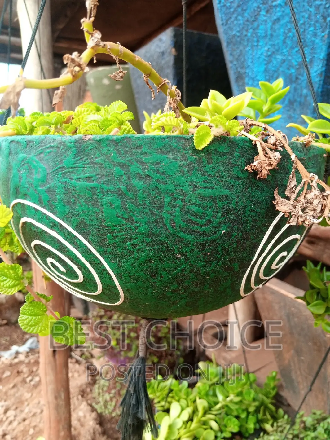 Creating Beauty With Beautiful Concrete Planters and Plants
