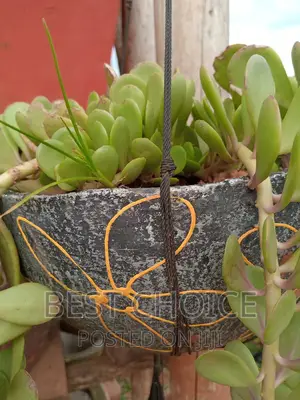 Creating Beauty With Beautiful Concrete Planters and Plants