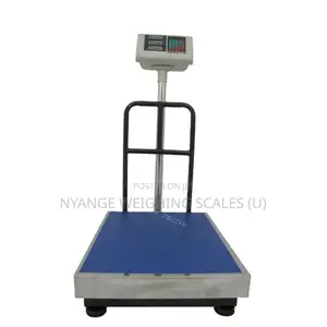 2025 Weighing Scale Hot Sale 400kg Platform Weighing Scale