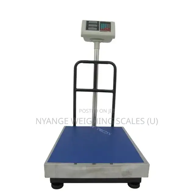 2025 Weighing Scale Hot Sale 400kg Platform Weighing Scale