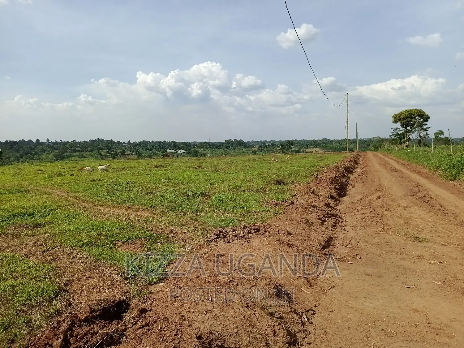 Mukono-Kiyunga Prime Estate