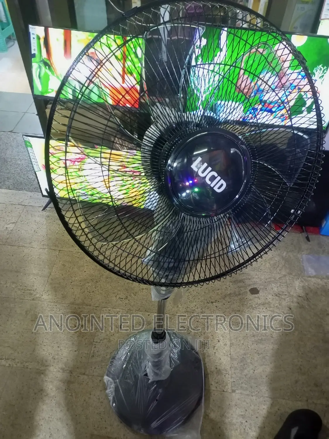 Lucid Stand Fans Black