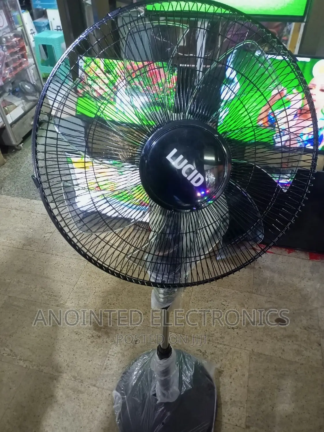 Lucid Stand Fans Black