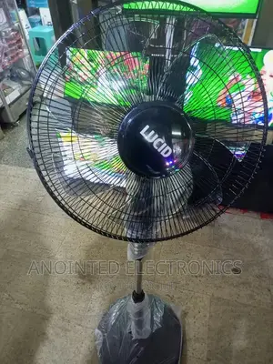 Lucid Stand Fans Black
