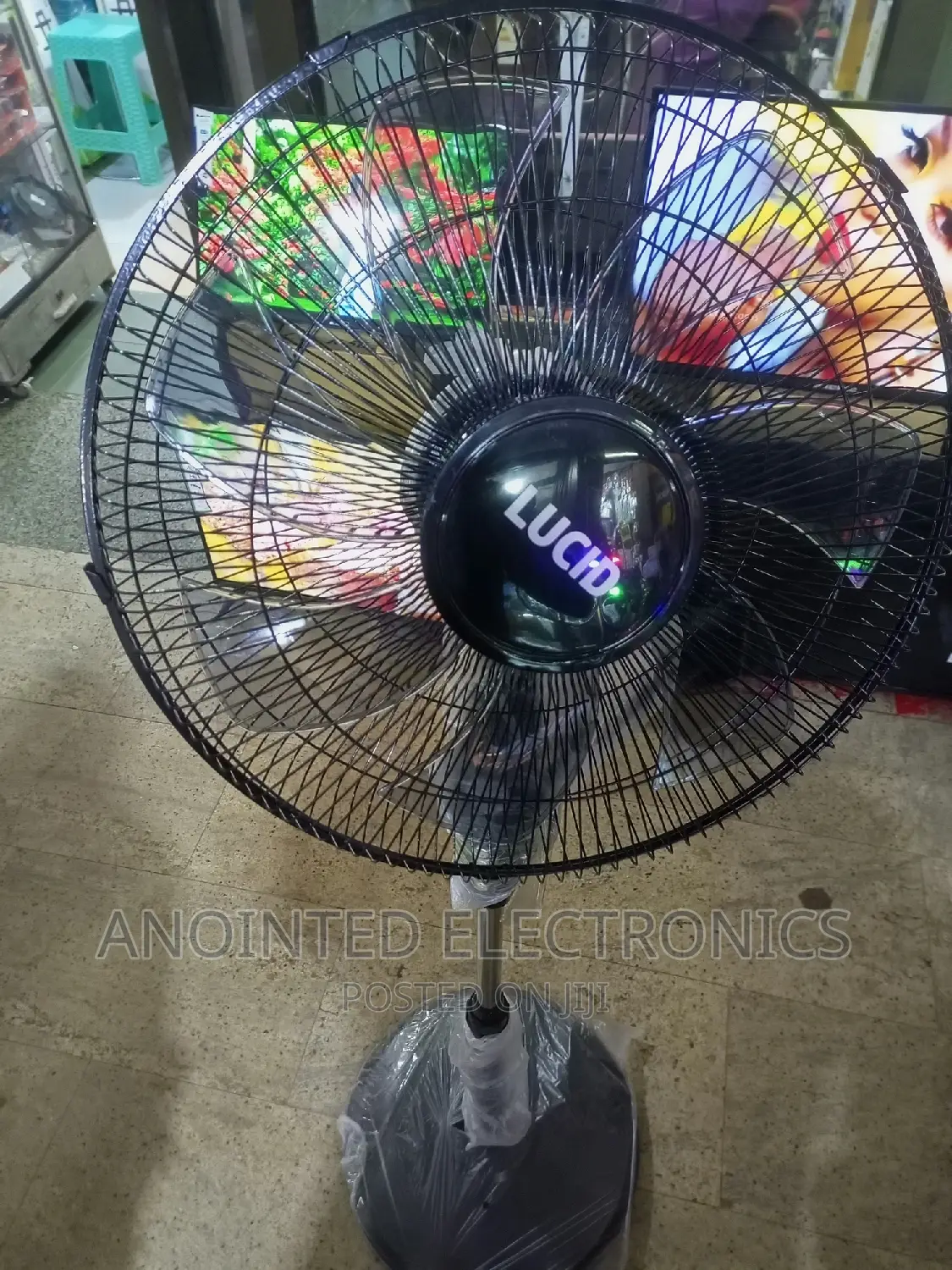 Lucid Stand Fans Black