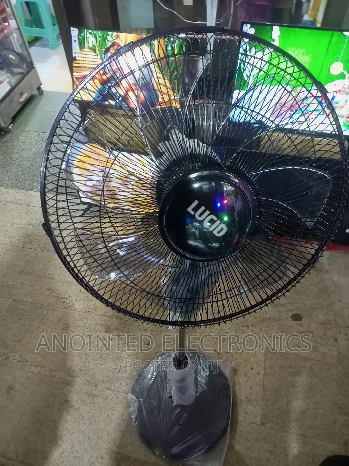 Lucid Stand Fans Black