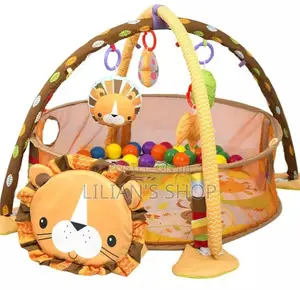Baby Activity Play Gym