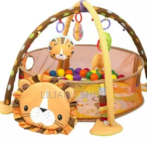 Baby Activity Play Gym