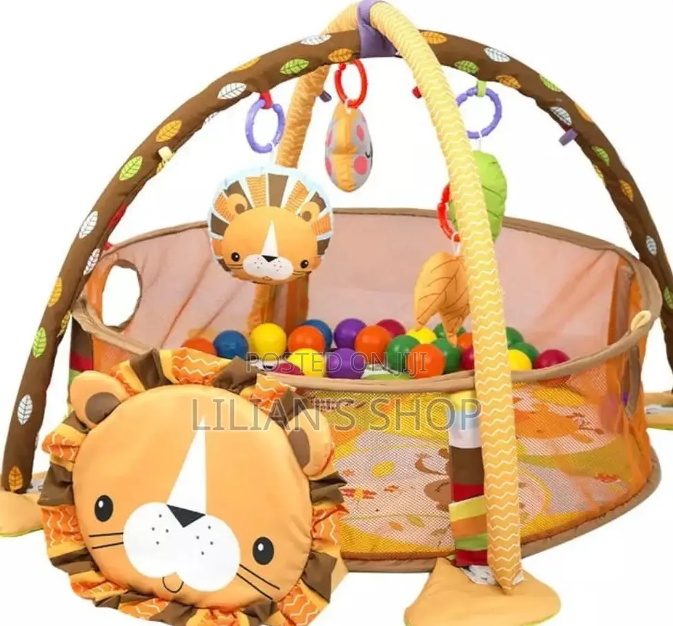 Baby Activity Play Gym