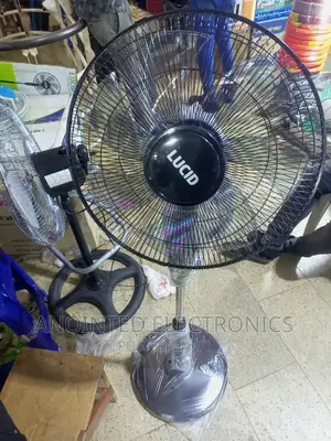 Lucid Stand Fans Black