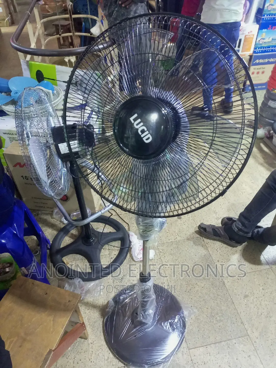 Lucid Stand Fans Black