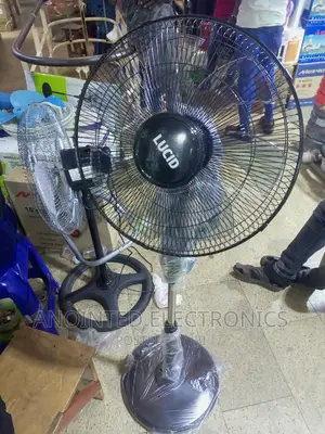 Lucid Stand Fans Black