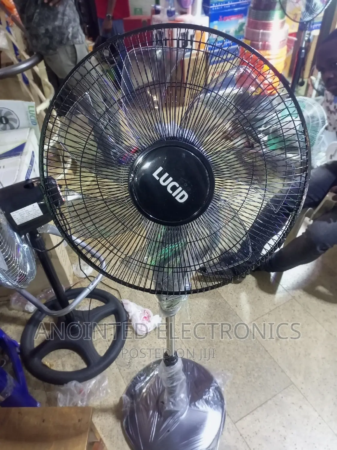 Lucid Stand Fans